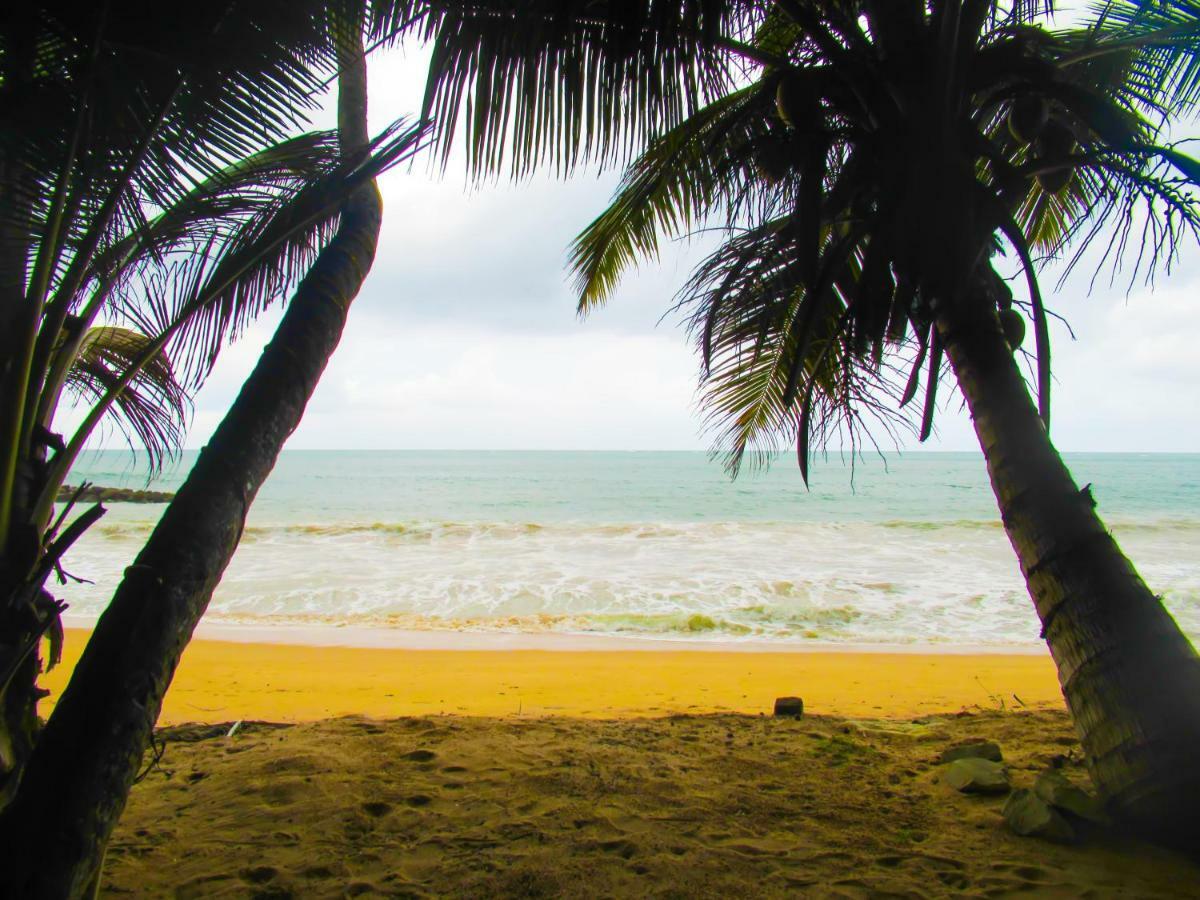 Shanika Beach Inn Tangalle Kültér fotó